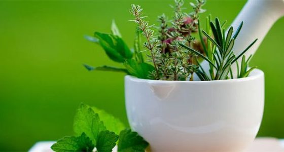 5 Reasons People Are Turning To Herbal Products