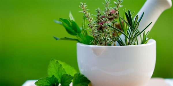 5 Reasons People Are Turning To Herbal Products