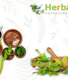 Natural Herbal Remedies for Health and Skin Effective Treatment