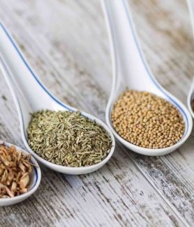 The Link Between Herbal Diet And Chronic Diseases- 5 Secrets To Explore