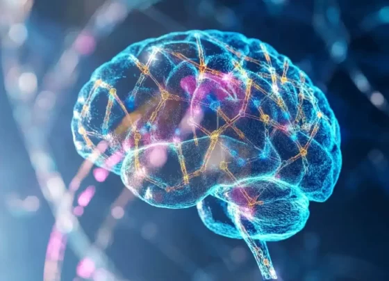 Study Links Gene Variations to Brain Changes in Essential Tremor