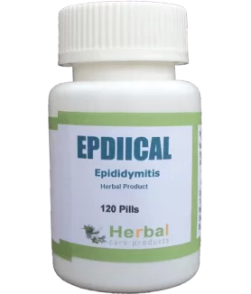 Epididymitis-Herbal-Treatment-500x500-1-1