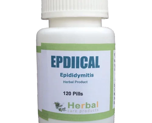 Epididymitis-Herbal-Treatment-500x500-1-1