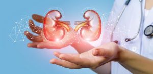 What is Kidney Health