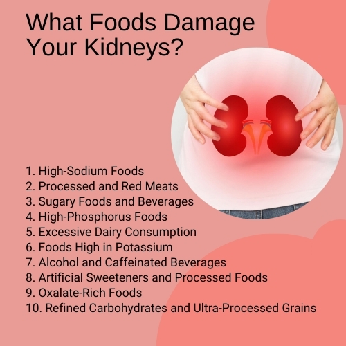 What Foods Damage Your Kidneys? Guide to Protecting Your Renal Health