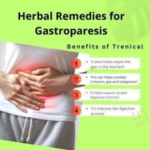 Herbal Remedies for Gastroparesis