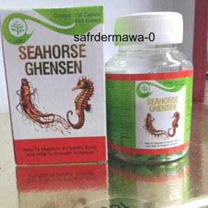 Ginjal Seahorse Ghensen for kidney health