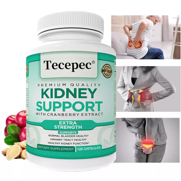 Kidney support