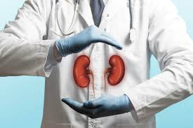 5 Risk Factors for Polycystic Kidney Disease