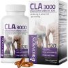 Bronson CLA 3000 Extra High Potency